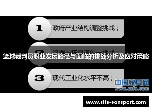 篮球裁判员职业发展路径与面临的挑战分析及应对策略