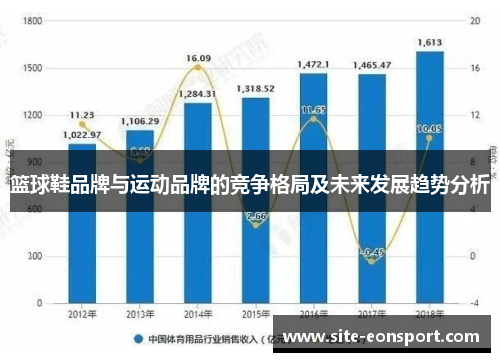 篮球鞋品牌与运动品牌的竞争格局及未来发展趋势分析