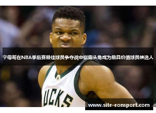 字母哥在NBA季后赛最佳球员争夺战中崭露头角成为最具价值球员候选人