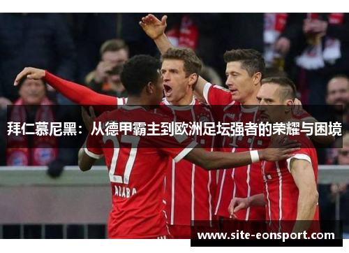 拜仁慕尼黑：从德甲霸主到欧洲足坛强者的荣耀与困境