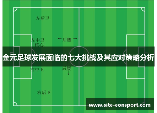 金元足球发展面临的七大挑战及其应对策略分析
