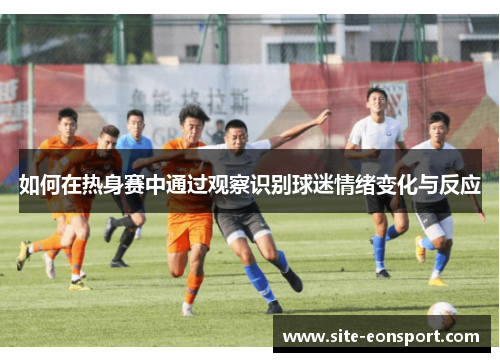如何在热身赛中通过观察识别球迷情绪变化与反应