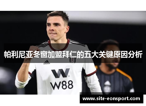 帕利尼亚冬窗加盟拜仁的五大关键原因分析