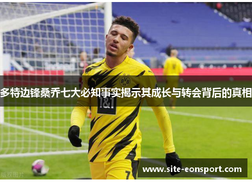 多特边锋桑乔七大必知事实揭示其成长与转会背后的真相