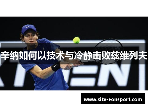 辛纳如何以技术与冷静击败兹维列夫