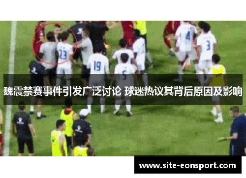 魏震禁赛事件引发广泛讨论 球迷热议其背后原因及影响