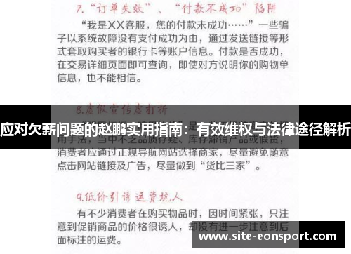 应对欠薪问题的赵鹏实用指南：有效维权与法律途径解析