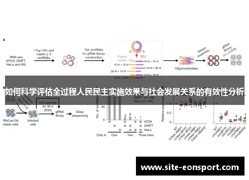 如何科学评估全过程人民民主实施效果与社会发展关系的有效性分析