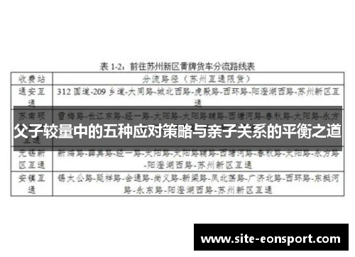 父子较量中的五种应对策略与亲子关系的平衡之道