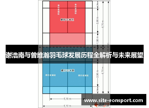 谢浩南与曾维瀚羽毛球发展历程全解析与未来展望