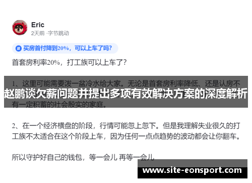 赵鹏谈欠薪问题并提出多项有效解决方案的深度解析