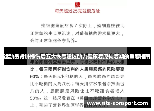 运动员肾脏损伤后五大恢复建议助力健康复原恢复期的重要指南